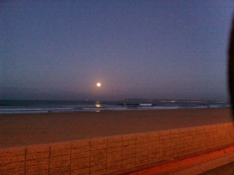 Gorgeous moon view as we boarded the bus at Silver Strand State Beach.